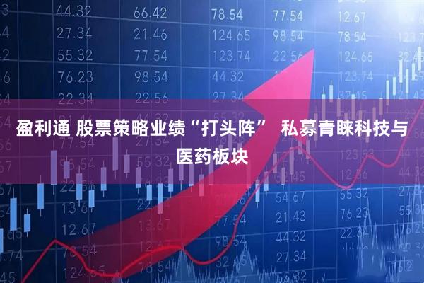 盈利通 股票策略业绩“打头阵”  私募青睐科技与医药板块