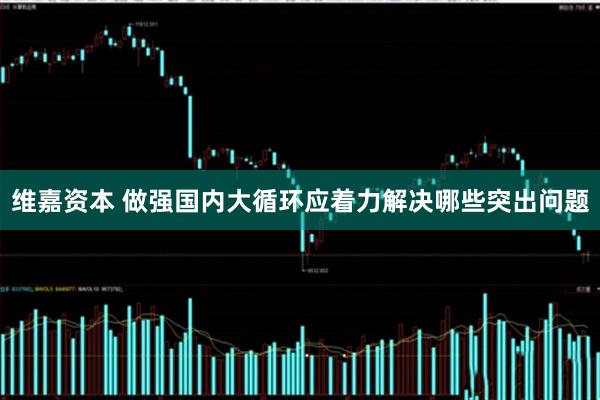 维嘉资本 做强国内大循环应着力解决哪些突出问题