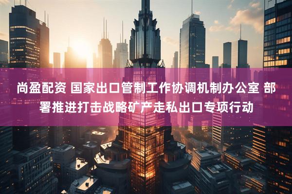 尚盈配资 国家出口管制工作协调机制办公室 部署推进打击战略矿产走私出口专项行动