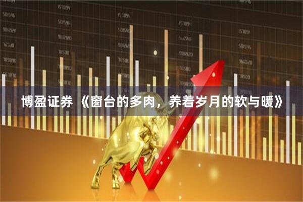 博盈证券 《窗台的多肉，养着岁月的软与暖》