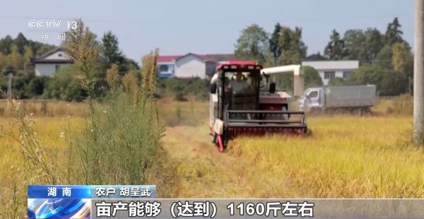 诚信优配 一大批农产品正走向你的餐桌! 全国秋粮收获近四成