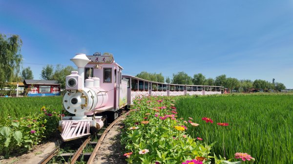 配资盘 宁夏: 经济新“丰景”渲染塞上金秋