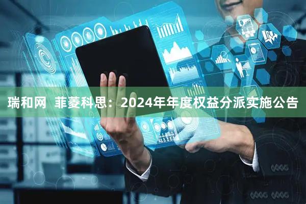 瑞和网  菲菱科思：2024年年度权益分派实施公告